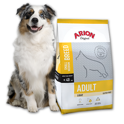 ARION Original Adult Small/Medium Race Léger 12kg + Surprise gratuit pour votre chien