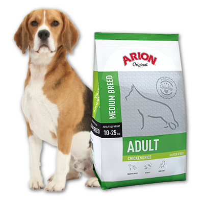 ARION Original Adulte Medium Breed Poulet & Riz 3kg+Surprise Gratuit pour votre chien