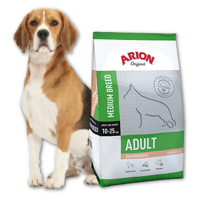 Arion Original Adult Medium Breed Saumon & Riz 12kg