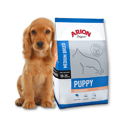 Arion Original Puppy Medium Breed Saumon et Riz 12kg