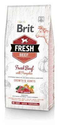 Brit Fresh Beef & Pumpkin Puppy Large Growth & Joints 12kg x2
