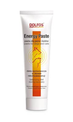 DOLFOS Energy Paste 100g