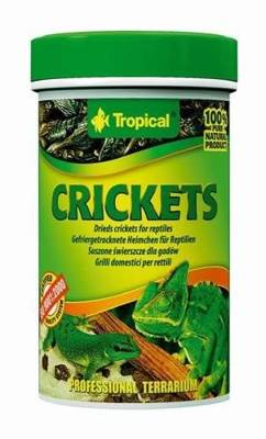 Tropical Crickets 250ml x2